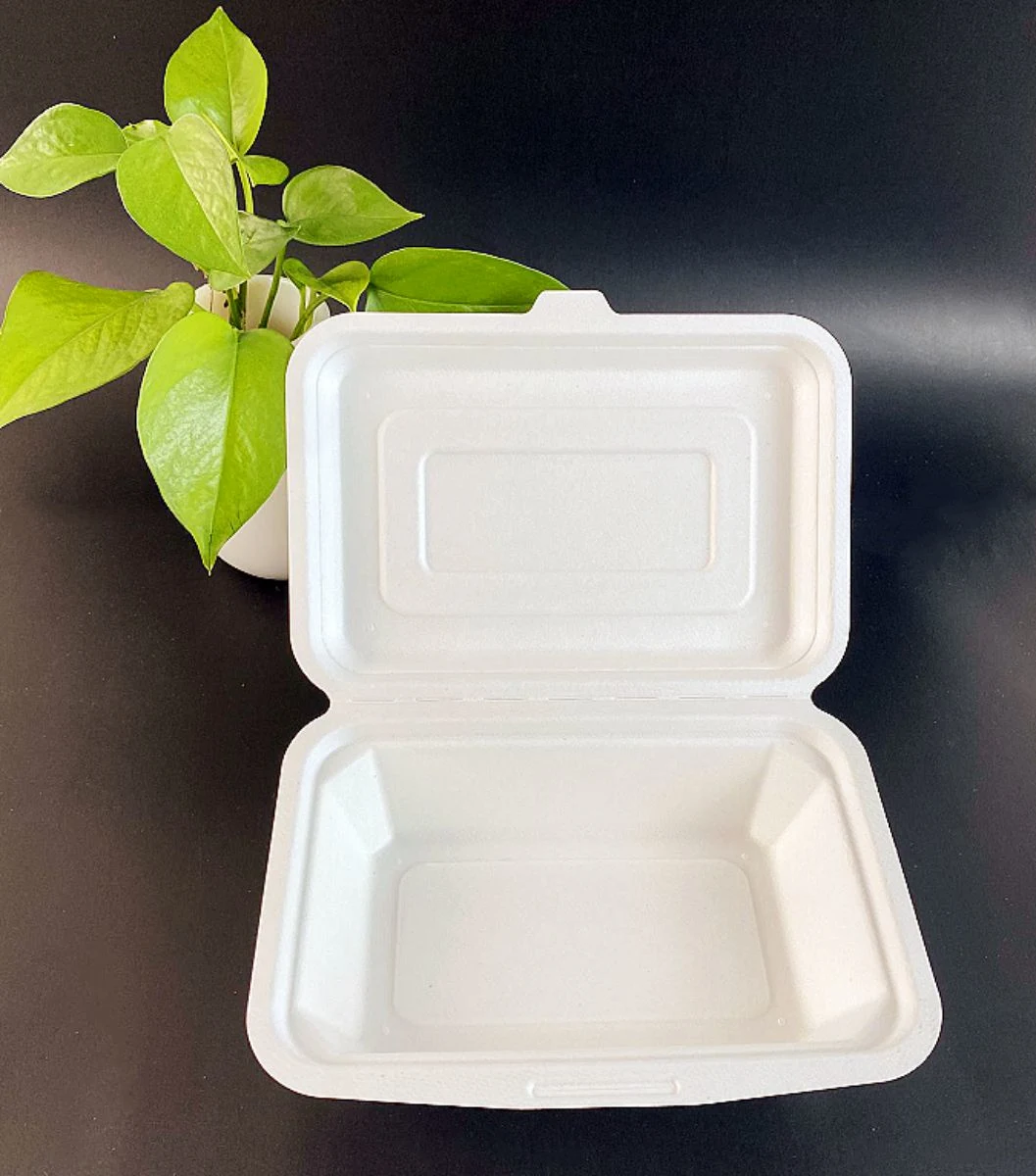 Factory Promotion Bagasse Hamburger Clamshell Box Sugarcane Environmentally Square Hamburger Boxhot Sale Products